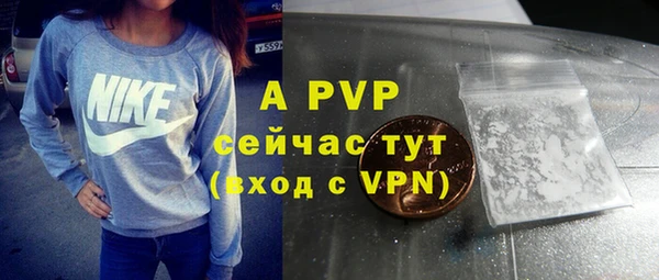 ПСИЛОЦИБИНОВЫЕ ГРИБЫ Нея